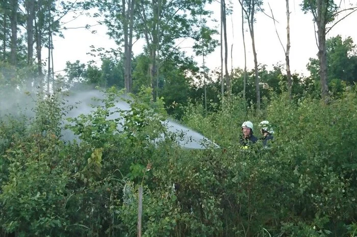 Die Feuerwehren Pinggau und Mönichkirchen (Niederösterreich) wurden nachalarmiert.