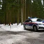 Der Tatort auf einem Forstweg in Bad Leonfelden