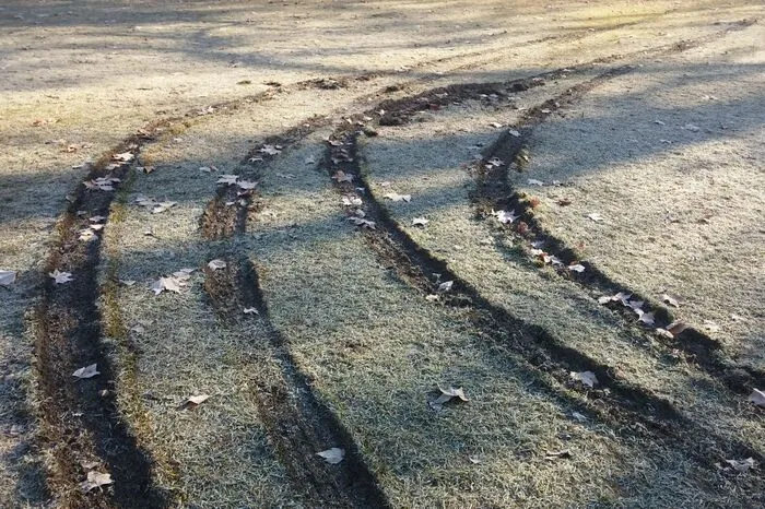 Die Autoreifenspuren haben sich tief in Gras gegraben.