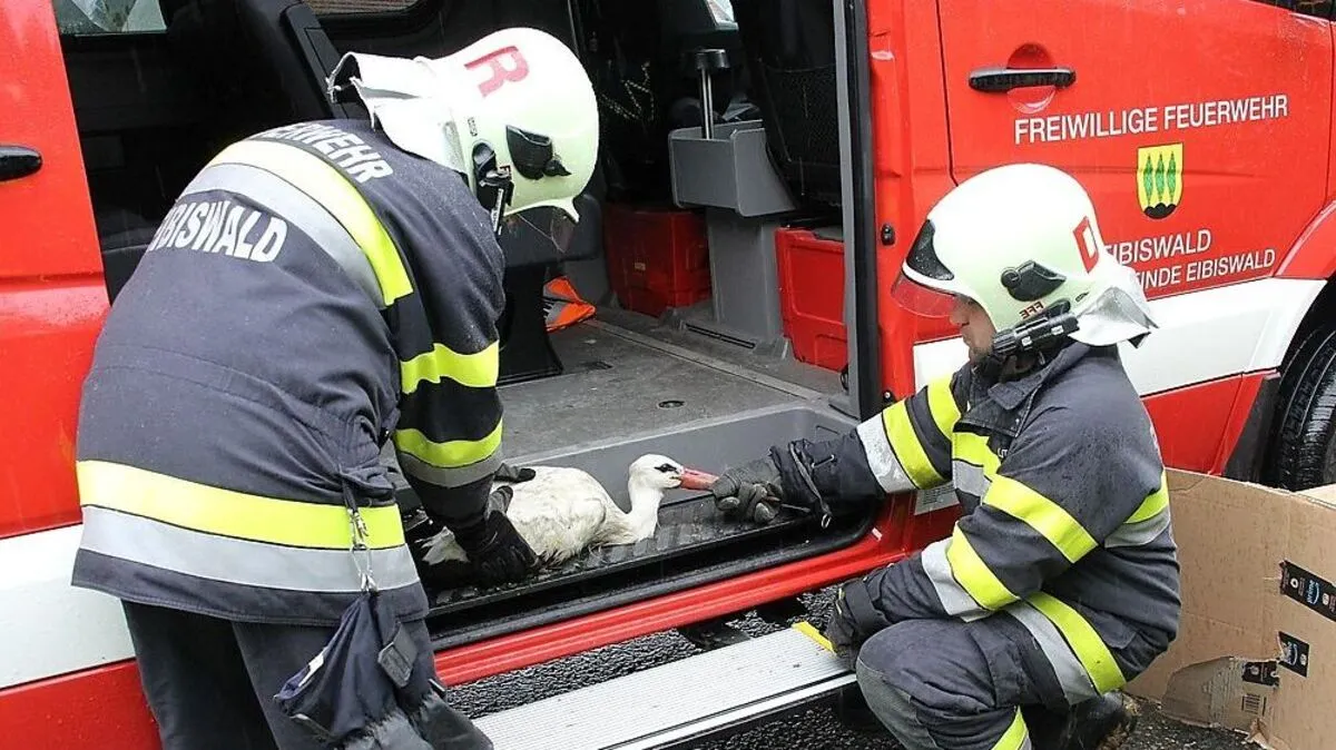 Leider verstarb der von der Feuerwehr gerettete Altstorch in Wien