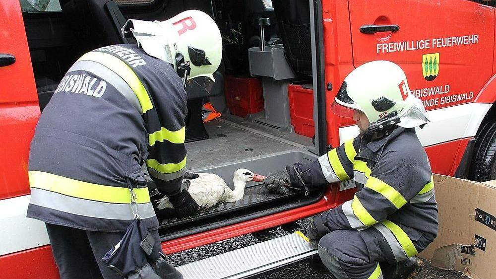 Leider verstarb der von der Feuerwehr gerettete Altstorch in Wien