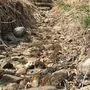 Der kleine Bach ist für die Feuerwehr wegen der Löschwasserversorgung wichtig