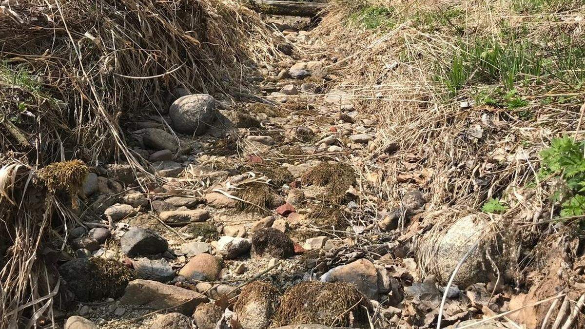 Der kleine Bach ist für die Feuerwehr wegen der Löschwasserversorgung wichtig