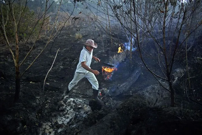 Es bleibt beim Versuch: In Brasilien wüten die schwersten Waldbrände seit Jahren.
