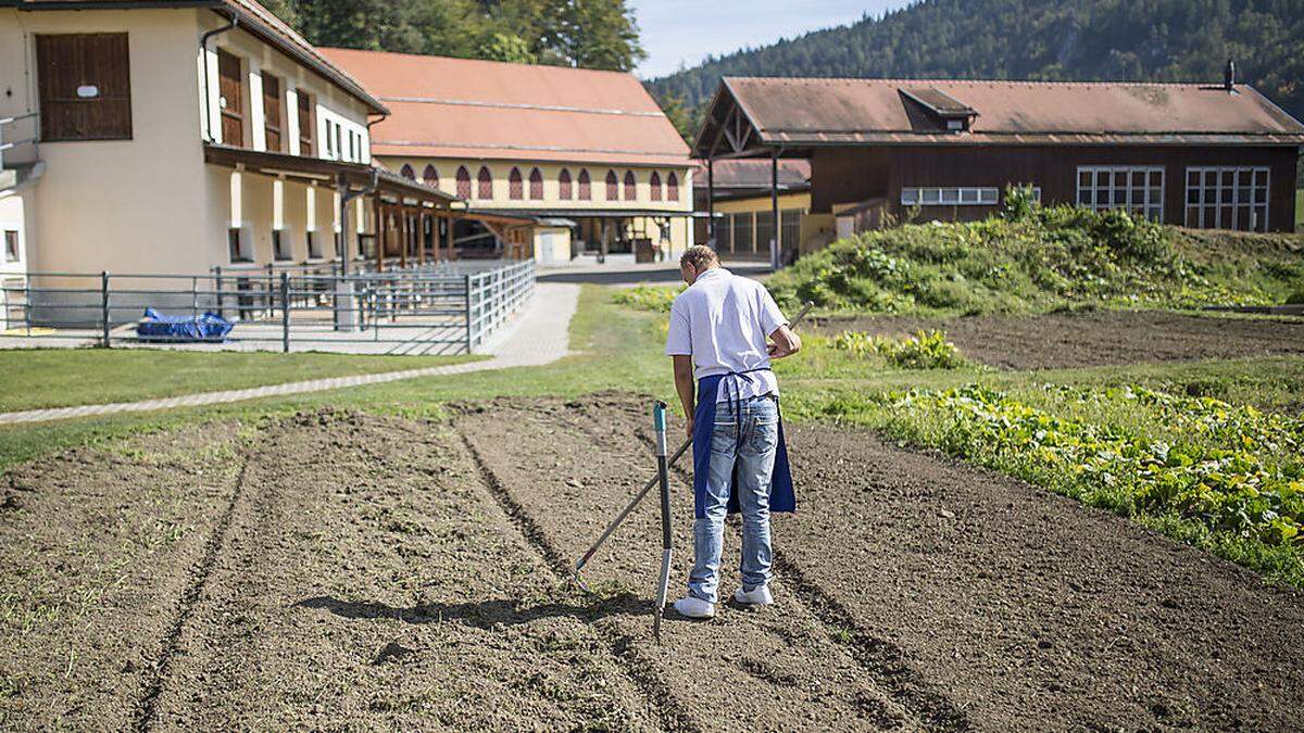 Die Häftlinge arbeiten in der Landwirtschaft