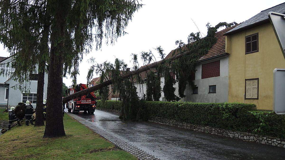 In Mureck stürzte ein Baum auf ein Haus