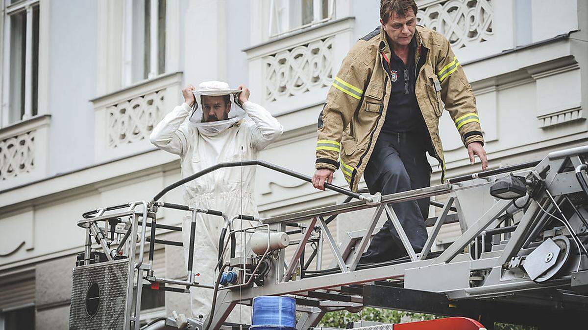 Der Imker auf der Drehleiter der Feuerwehr