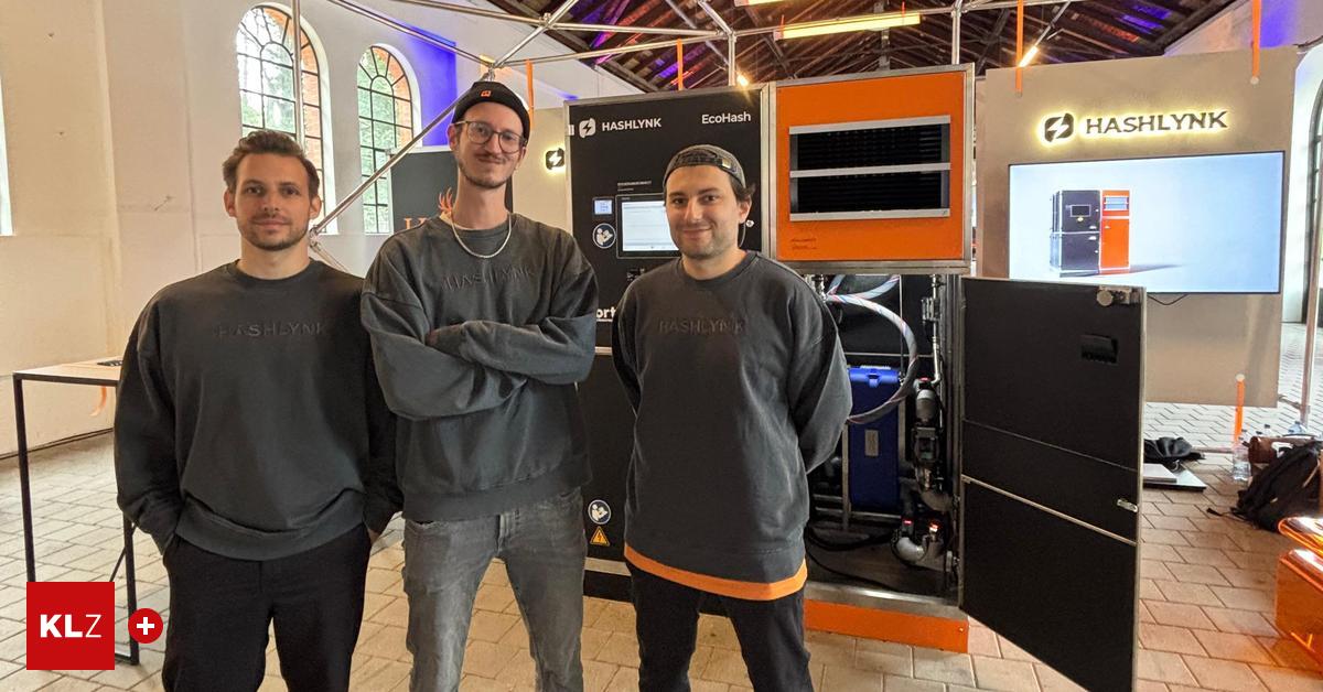 Junge Unternehmer haben profitable Lösung für Stromüberschuss gefunden