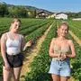Am Erdbeerfeld Posch in Heimschuh sind die Erntehelferinnen bereit für die Saison