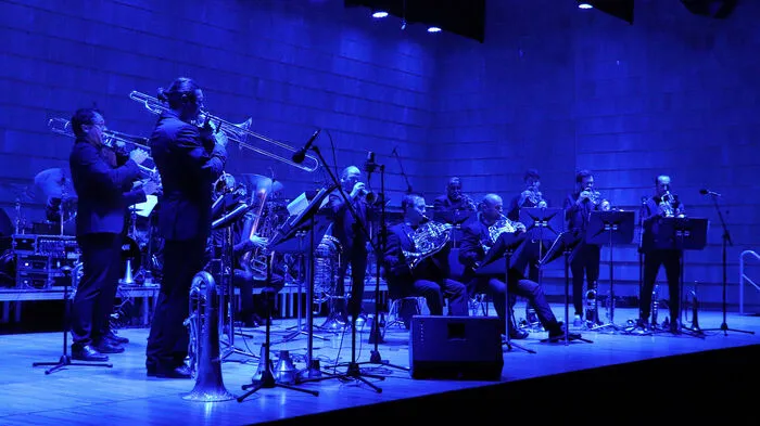 Das Pro Brass-Ensemble setzt sich aus 15 talentierten österreichischen Musikern zusammen, die bereits für viele europäische Top-Orchester gespielt haben. Ihr Stil: Detailverliebt, humorvoll und immer auf höchstem, technischem Niveau. Für die frechen Arrangements, bei denen viele unterschiedliche Musikstile gemixt werden, zeichnen vor allem Alfred Lauss-Linhart und Christian Mühlbacher verantwortlich.
