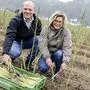 Seit 2018 bauen Josef und Sybille Matschnig in Ebenthal Spargel an