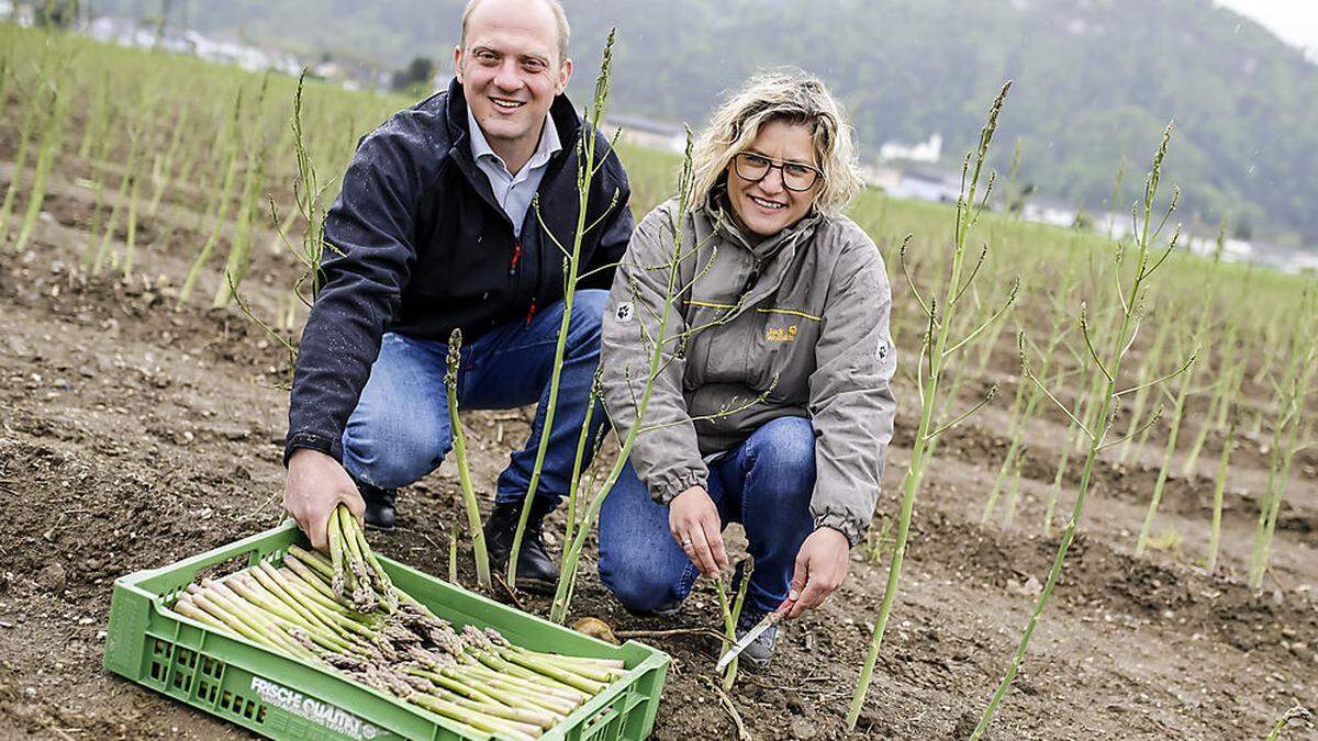 Seit 2018 bauen Josef und Sybille Matschnig in Ebenthal Spargel an