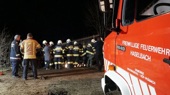 Lageerkundung: Ein 400 Kilo schwerer Stier war durch eine enge Luke in eine Jauchengrube gestürzt. Was tun?