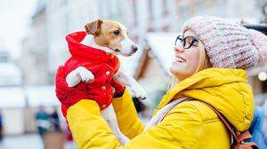 Hektik, Lärm und viele Menschen: Ein Besuch auf dem Weihnachtsmarkt bedeutet für Hunde Stress