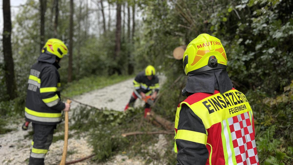 Die Feuerwehren im Bezirk Leoben waren am Wochenende bei über 100 Schadenslagen im Einsatz