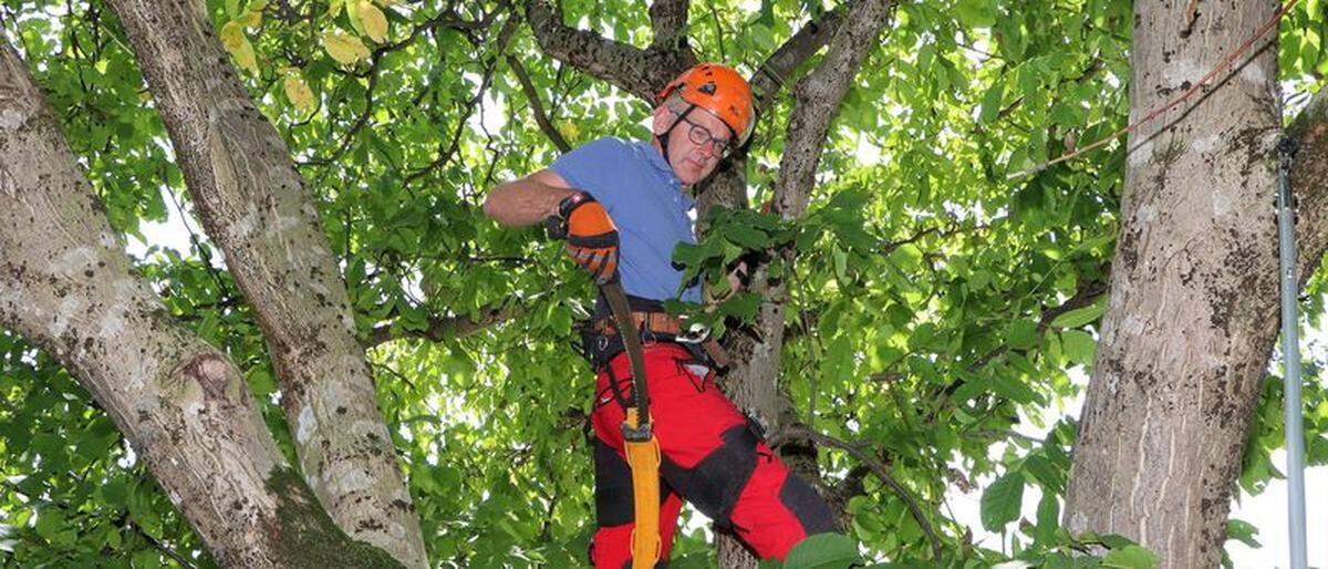 Robert Rogatsch arbeitet als Arborist für den Maschinenring Kärnten in der Baumpflege und Baumkontrolle