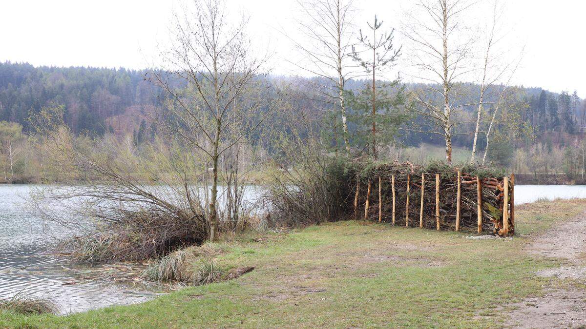 Der Silbersee hat ab Juli einen Hundestrand