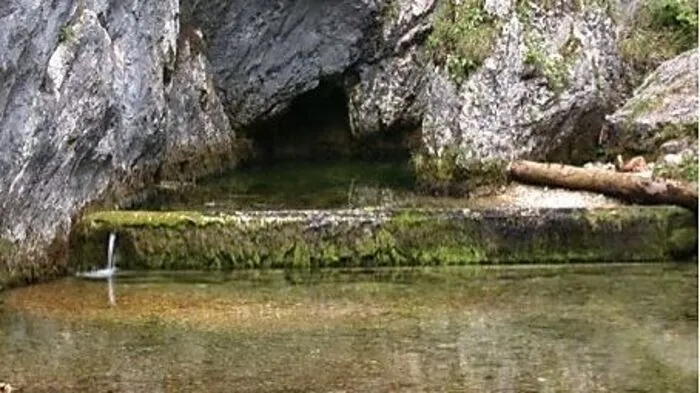 In Österreich wird etwa die Hälfte des Trinkwasserbedarfs aus Quellen gedeckt