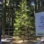 Der Holzsteg beim "Dom des Waldes" darf derzeit nicht betreten werden 