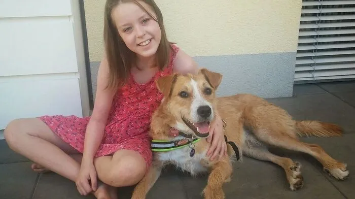 Nadine Großschädl (10) aus Weiz hat Diabetes Typ I. Mit Hund Ricky hat sie nicht nur einen genialen Helfer, sondern auch einen echten Freund gewonnen