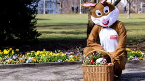 Einkaufen mit dem Osterhasen