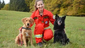 Angelika Brandl ist bereits mit ihrem zweiten Hund Balu (rechts) im Einsatz, Cooper ist noch in Ausbildung