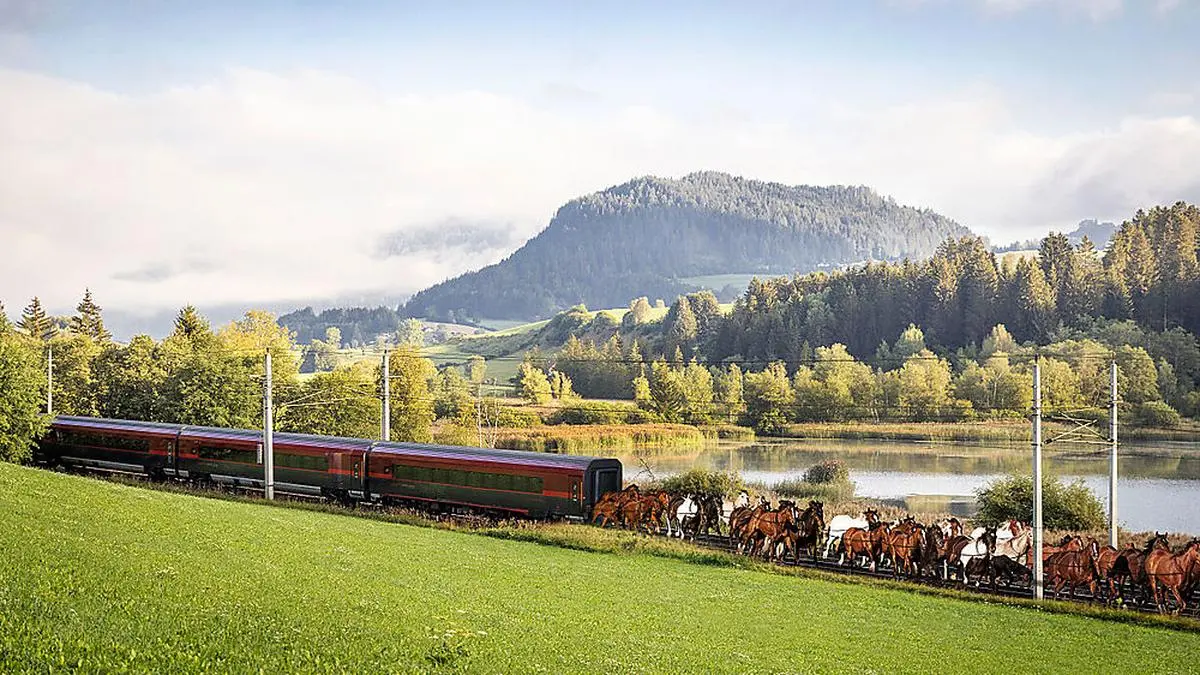Idee der ÖBB: Zugpferde als Innovation beim Energiesparen
