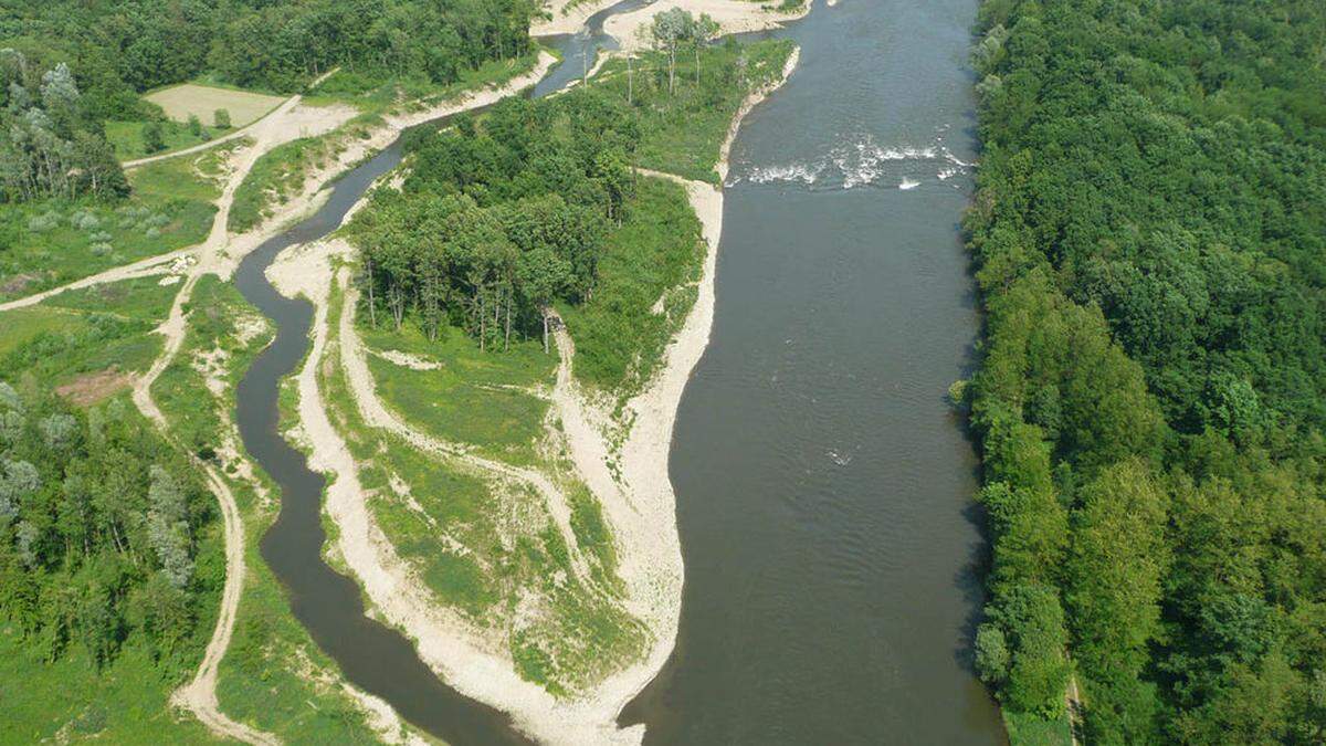 Die steirische Grenzmur gehört zu den derzeit 43 Natura-2000-Gebieten in der grünen Mark