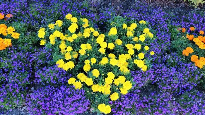 Das grüne „Steiermark-Herz“ feiert als Symbol steirischer Gastlichkeit bereits seinen 50. Geburtstag und hat in Sachen Beliebtheit einen wahren Siegeszug hingelegt. Der Fotowettbewerb des 63. Blumenschmuckbewerbs ließ das Steiermarkherz heuer noch grüner schlagen. Das sind die fünf Gewinner, die das Motto “Steiermark - Das Grüne Herz Österreichs“ zu ihrer gärtnerischen Herzensangelegenheit gemacht haben!