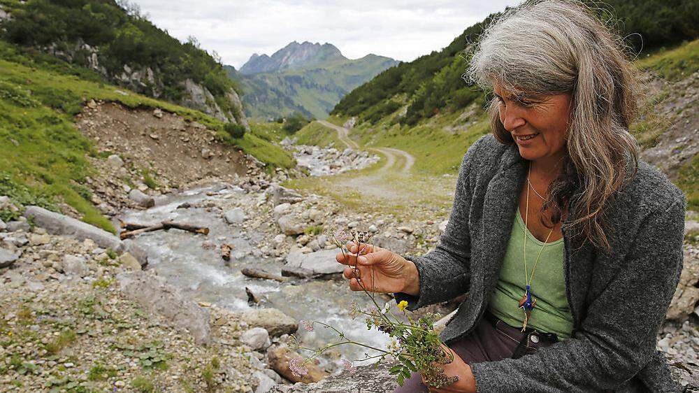 Auf der Klesenza-Alpe wachsen heilsame Pflanzen. Susanne Türtscher kennt die Wirkung der wilden Kräuter