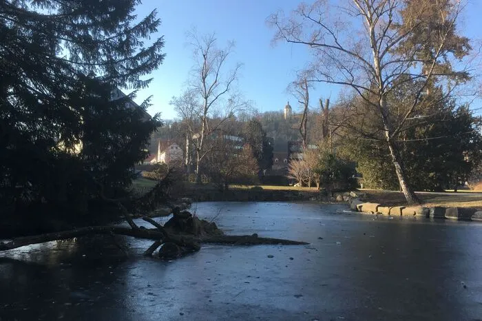 Mit Blick auf den Glockenturm: Diesen Winter bildete sich auf dem Ententeich im Stadtpark nur eine dünne Eisschicht