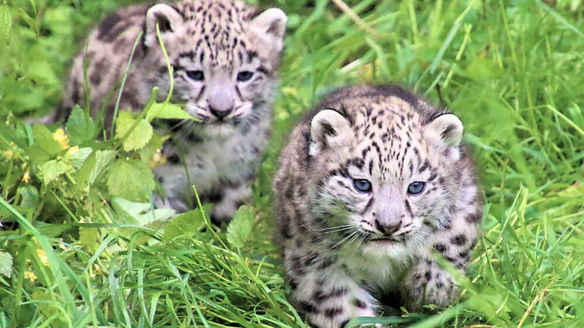 Der erste Nachwuchs für die vierjährige Malou