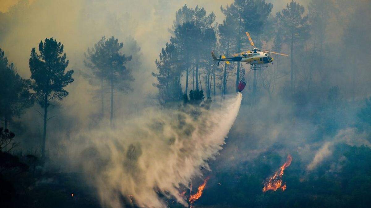 Erst vor zwei Wochen brannten in Portugal die Wälder.