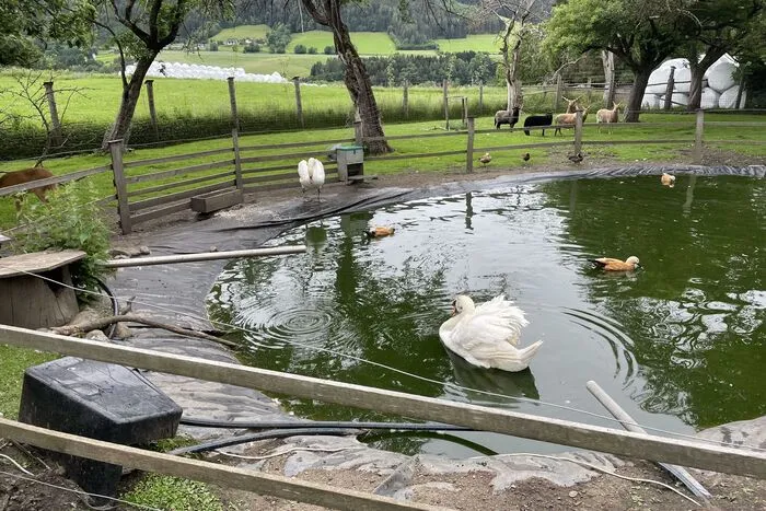 Klicken Sie sich durch die Bilder!
