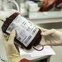 Blutkonserven sind maximal 42 Tage haltbar