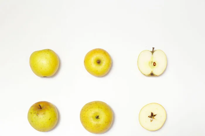 Annanas-Renette: Spätreifer Apfel, der wegen seiner aromatischen, sortentypischen Würze (daher der Name!) gern als Tafelapfel, aber auch zur Verarbeitung genutzt wird.