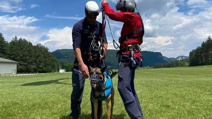 Auch Polizeihunde suchten nach der Frau 