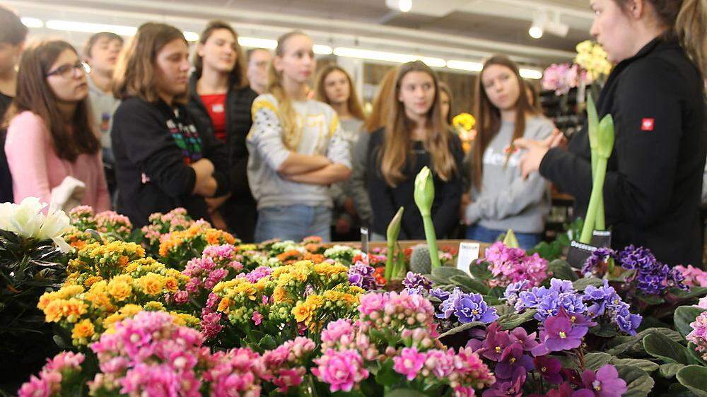 Durch die Blume gesagt: Die Schüler erhielten einen Einblick in den Lehrberuf des Floristen