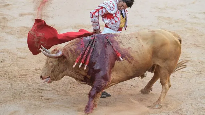 Beim traditionellen Stiertreiben im baskischen Pamplona hat es am Donnerstag die ersten Verletzten gegeben.
