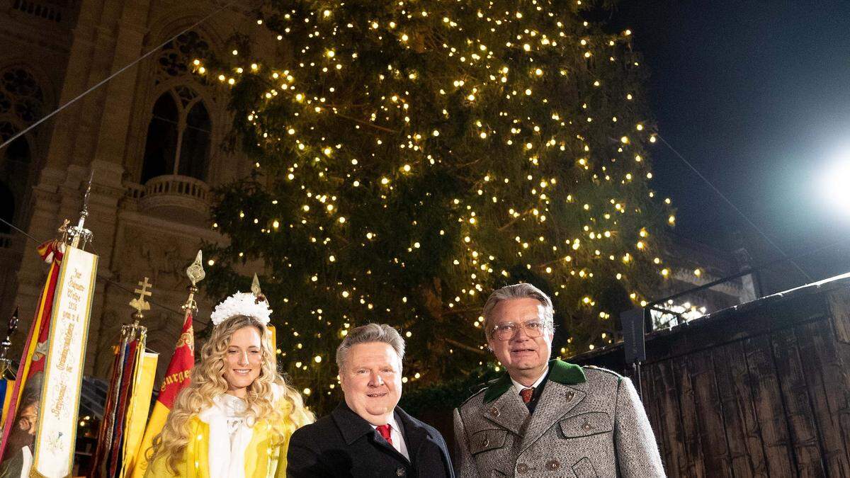 Der Wiener Christbaum kommt aus der Steiermark