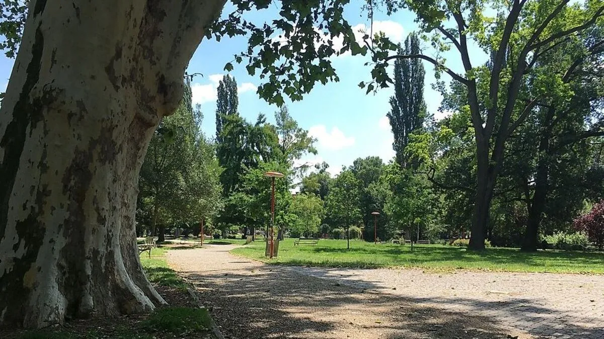 Ab in den Schatten - auch im Volksgarten spenden die Bäume Kühle