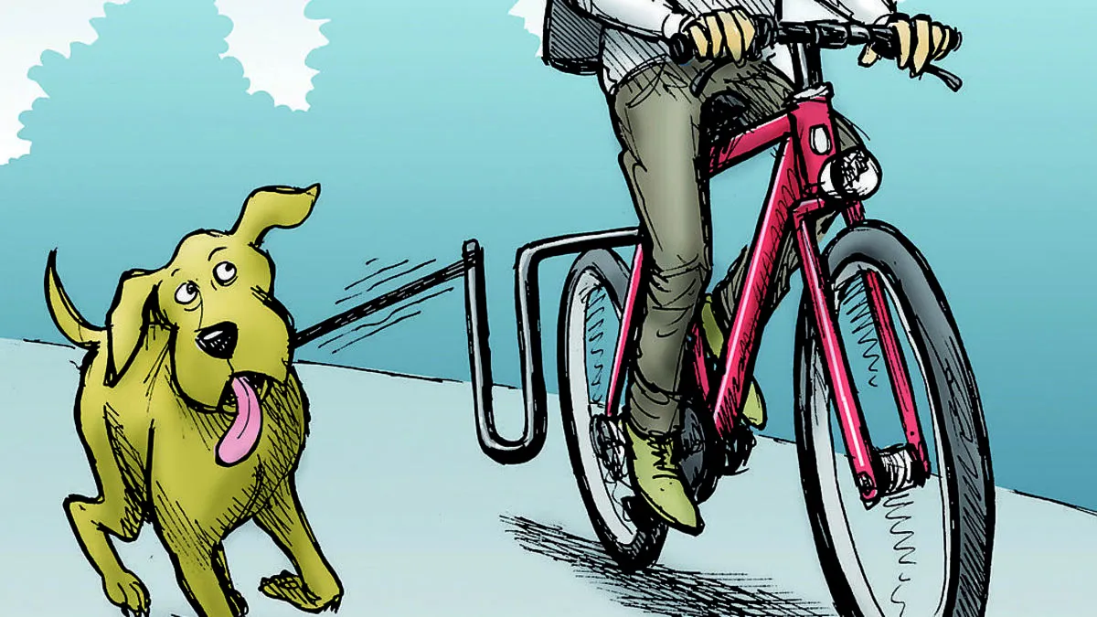 Experten raten: Selbst auch laufen, nicht fahren!