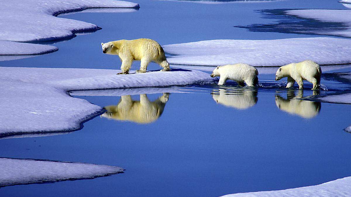 Der Weltklimarat IPCC warnte, dass die globale Durchschnittstemperatur im Jahr 2030 über 1,5 Grad Celsius über dem vorindustriellen Niveau liegen wird 