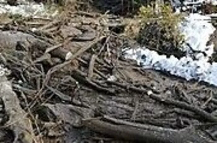Die Situation an der Unteren Draßnitz in Rietschach bei Dellach/Drau