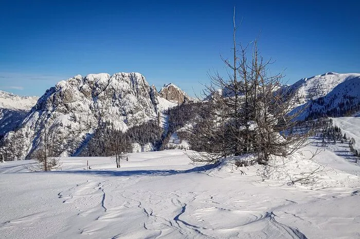 Winterliche Schnappschüsse vom Dorfberg