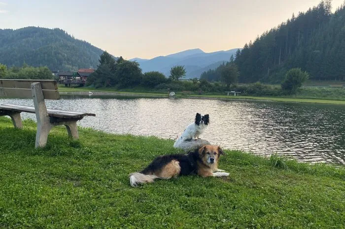 Der kleine Sunny und Mr Muffin genießen die kühlen Morgenstunden in der Freizeitanlage Möderbrugg.
