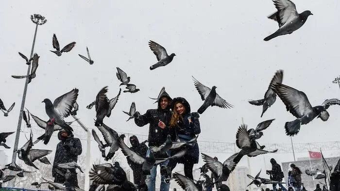 Heftiger Schneefall hat in der türkischen Millionenmetropole Istanbul zu starken Verkehrsbehinderungen geführt.