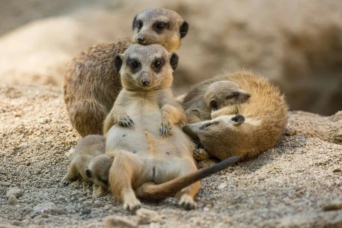 Im Zoo Ljubljana kann man einen Tag voller Entdeckungen verbringen