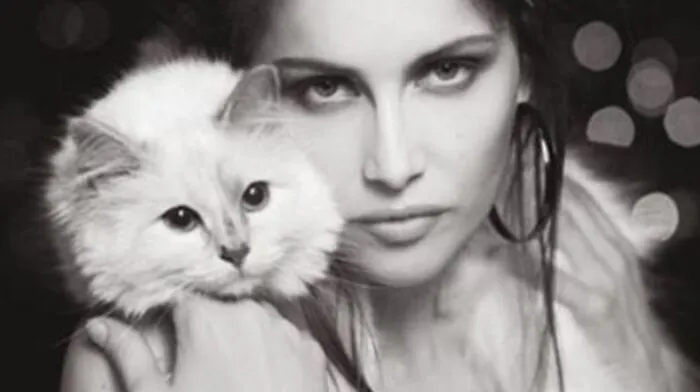 Das Birmakätzchen Choupette wurde am 19. August 2011 geboren. Sie war Model, Muse und Hauskatze von Designer Karl Lagerfeld. Hier im Bild mit Model Laetitia Casta. Unter ihrem Instagram-Account postete die Katze: "In großer Trauer bestätige ich, dass mein Daddy Karl Lagerfeld gestorben ist. Er wird für immer in meinem gebrochenen Herzen weiterleben. Ich bin ewig dankbar für das Leben und die Liebe, die er mir durch Adoption gegeben hat. Mögen wir niemals das kreative Genie vergessen, das jetzt im Himmel neben Mommy Coco Chanel sitzt. In Liebe, Daddy Karls größter Fan, Choupette."