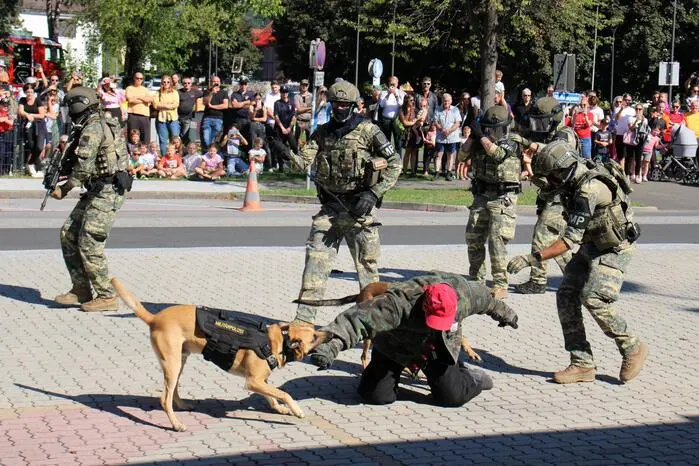 Sie zeigte bei aufsehenerregenden Vorführungen – unter anderem mit Beteiligung des Bürgermeisters Jochen Bocksruker – vor, wie  Personenschutz funktioniert, wie man Attentäter neutralisiert und wie Hunde die Militärpolizei im Ernstfall unterstützen.